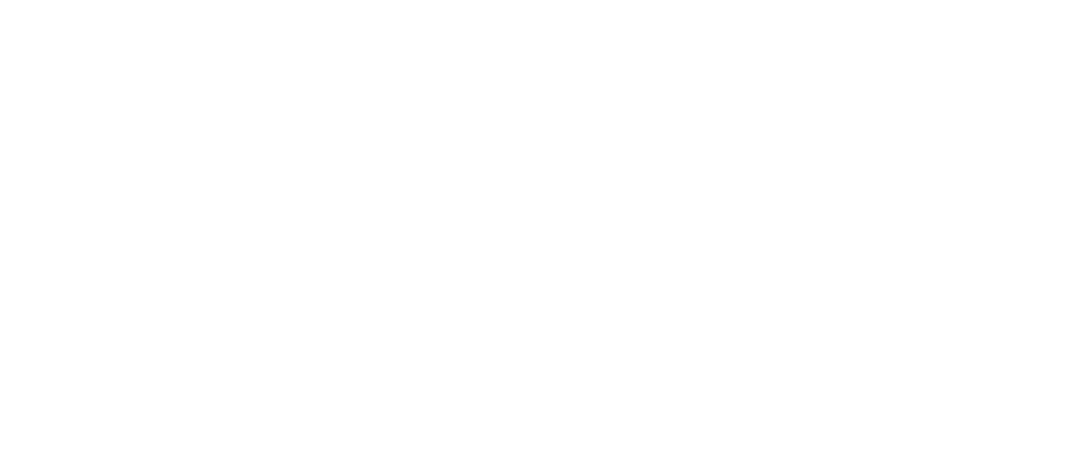 apskenes-construction-logo-wh